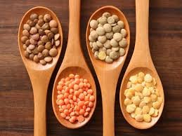 Lentil