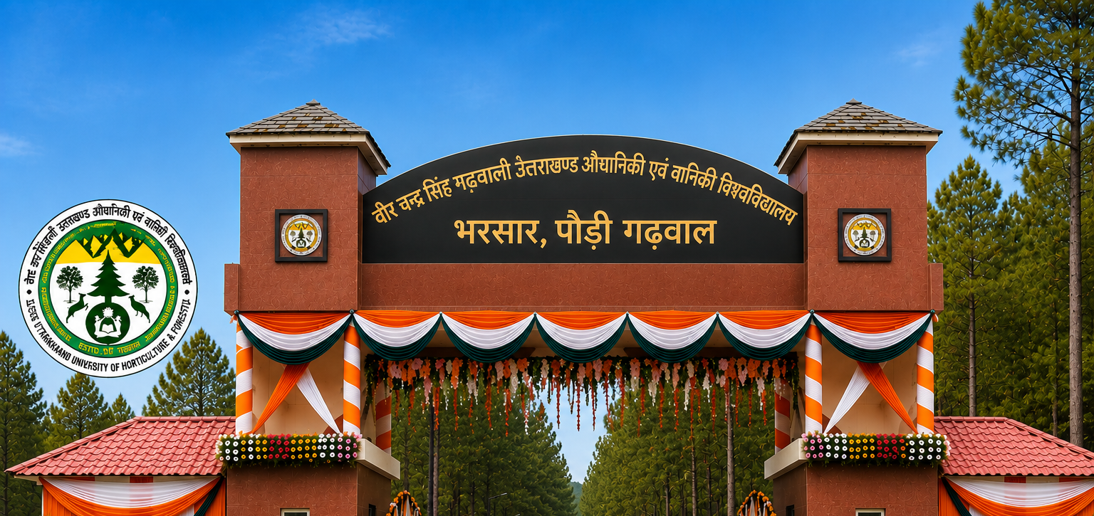 our-university